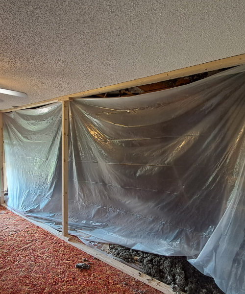 Plastic sheet covering wall during home renovation or construction project