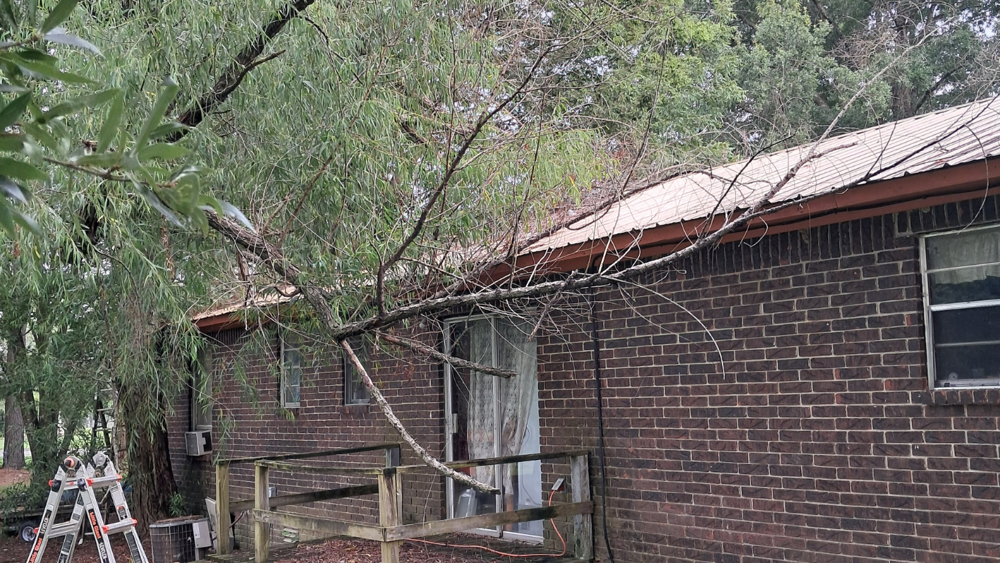 Tree branch hanging over brick house with wooden deck and ladder